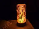 20250811_230634.webp