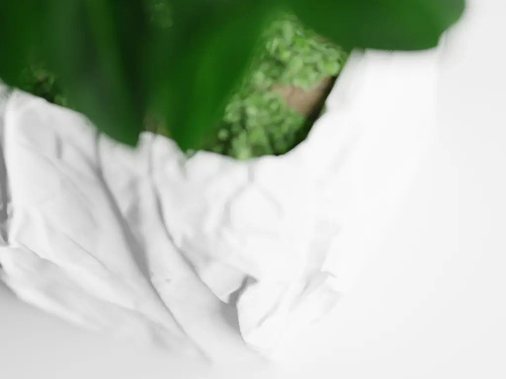 B0001.webp
