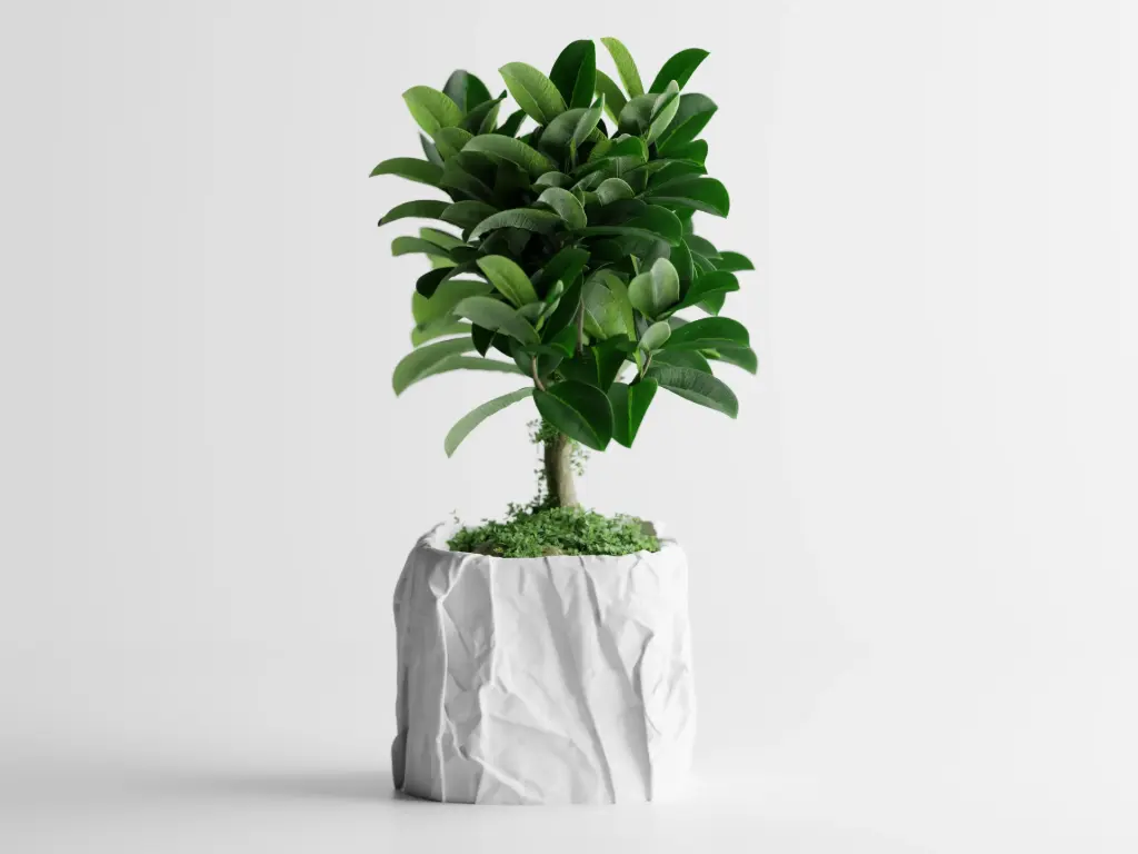 Crumple – Square Pot