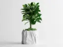 Crumple – Square Pot
