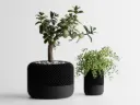 Modern Home – Pod Style Planter