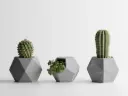 GeoTrio - Plant Pots