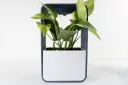 Mist -  Watering Planter