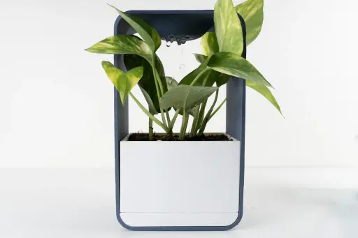 [PL-0013] Mist -  Watering Planter